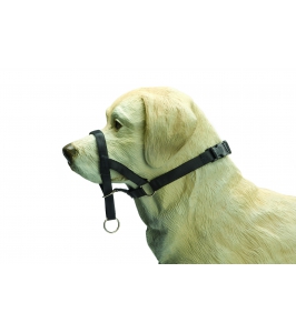 Dog Control 2 ohlávka na psa