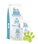 Brit Care Grain free Junior Large Breed Salmon & Potato 12kg