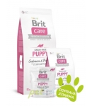 Brit Care Grain free Puppy Salmon & Potato 12kg