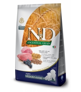 Dog puppy medium & maxi, lamb, spelt, oats & blueberry
