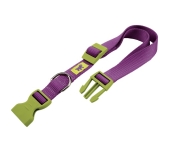 nylonový obojok CLUB COLOURS