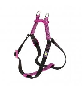 postroj EASY COLOURS P MEDIUM