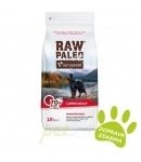 VetExpert Raw Paleo adult large beef