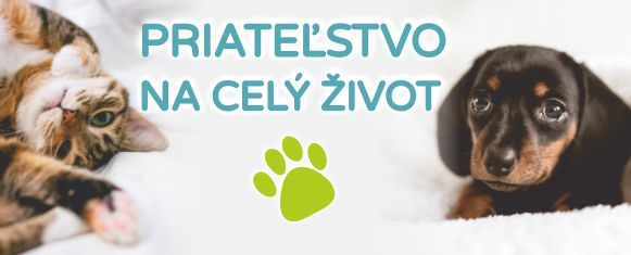 pet24 priateľstvo na celý život