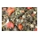 Grainless Mix pre morča 650g