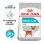 CCN Mini Urinary Care 1kg