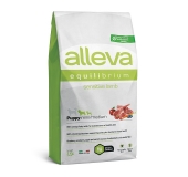 ALLEVA Equilibirium Dog sensitive lamb puppy mini/ medium 2kg