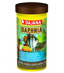 Daphnia