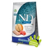 Dog  adult medium & maxi, salmon, cod & cantaloupe melon