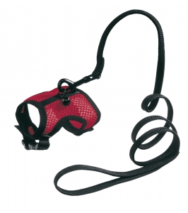 postroj JOGGING small