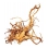 Koreň FINGER WOOD - L 35-50cm - do akvárií a terárií