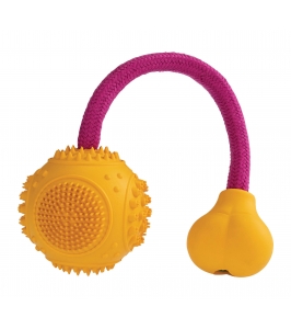 Hračka pre psa - Dentálna lopta s lanom
