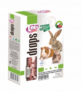 Cukríky pre hlodavce lesné ovocie 75g