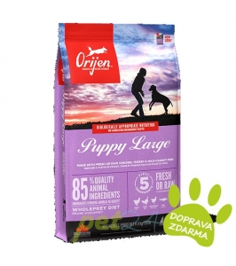Orijen Puppy Large Breed 11,4 kg