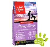 Orijen Puppy Large Breed 11,4 kg