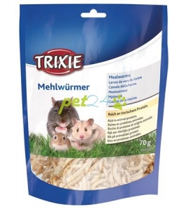 Múčne červy