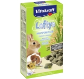 Loftys 100g pochúťka pre hlodavce